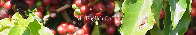 美味しい自家焙煎珈琲豆の専門店。世界中から最高級のコーヒー豆を集めコーヒーの種類も豊富。ギフト用に珈琲豆をお探しの方/プロの焙煎士が焙煎した本格的珈琲豆をお探しの方/挽きたて新鮮な珈琲豆をお探しの方ミスターイングリッシュコーヒーがお役に立ちます。